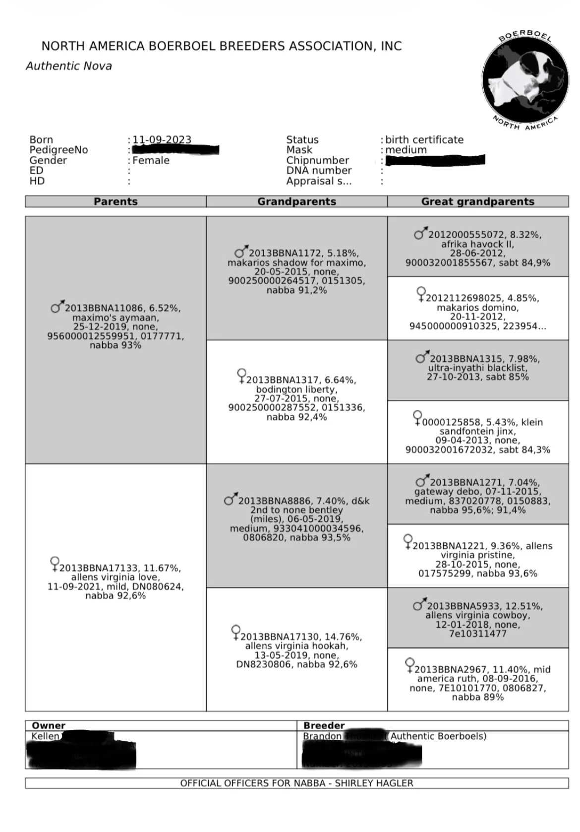 Nova's NABBA birth certificate (Authentic Nova) with her pedigree