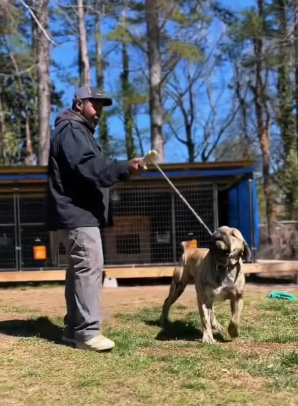 Kellen working one of the dogs on a lead by the kennels
