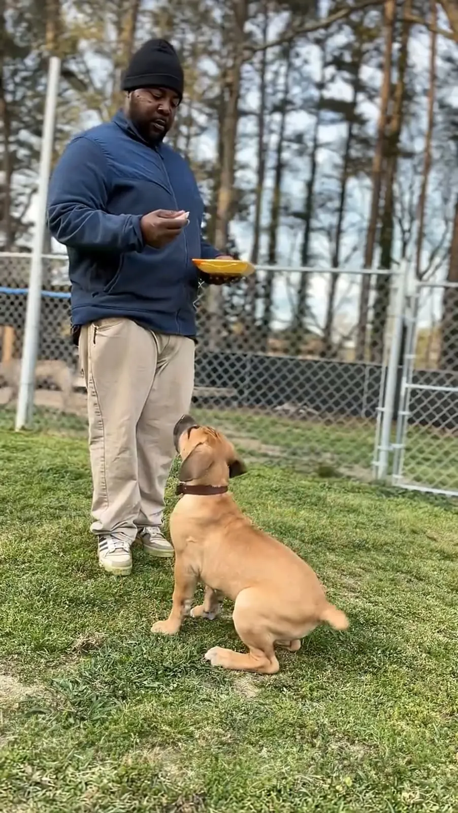 Kellen feeding Nova, who sits and waits