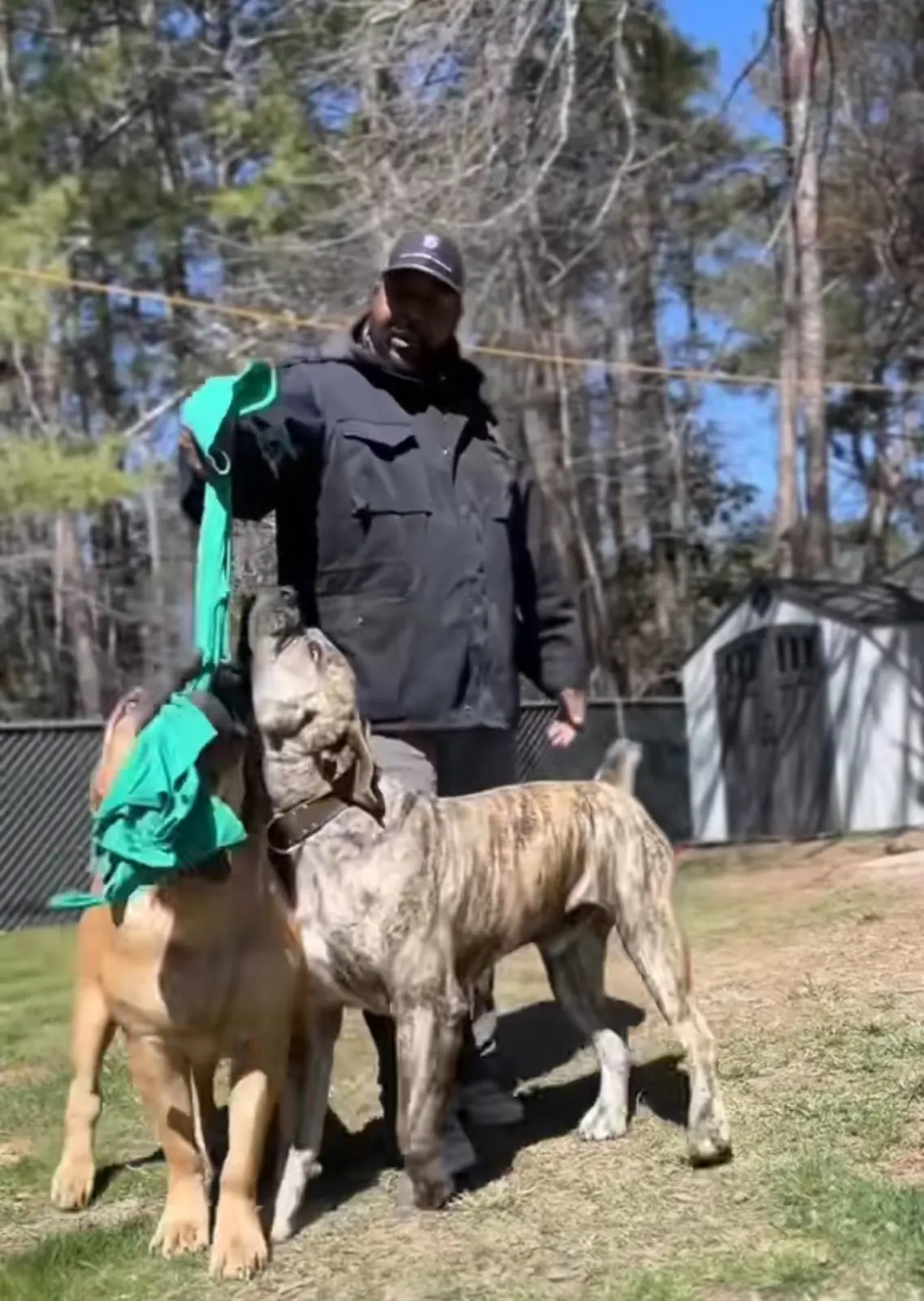 Kellen in the yard with Nova and Zeus
